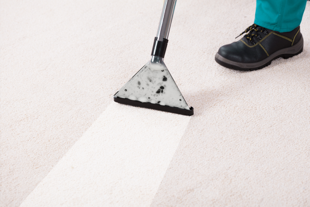 carpet cleaning